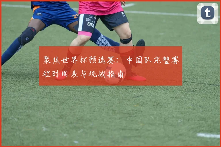 聚焦世界杯预选赛：中国队完整赛程时间表与观战指南