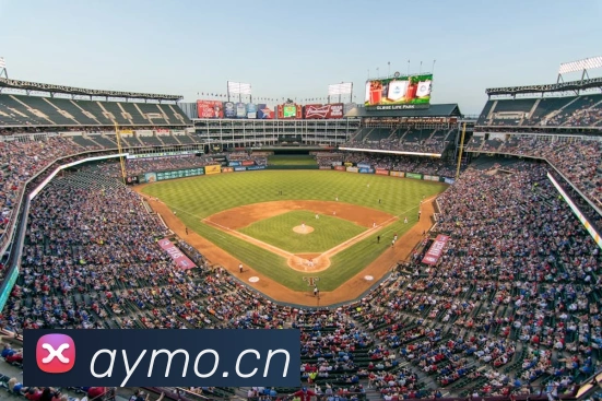 半岛在线官网平台生态图